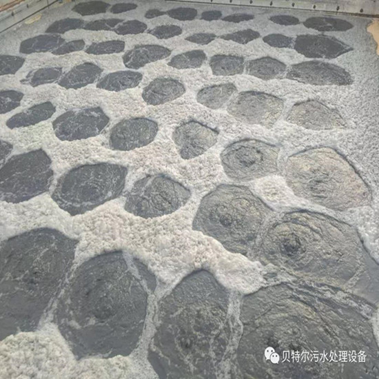 山東貝特環(huán)保出口設(shè)備成功運(yùn)行！